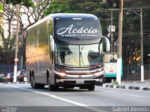 Acácio O Ferinha da Bahia FCB4001 na cidade de Osasco, São Paulo, Brasil, por Gabriel Almeida. Número da foto: #3605436.