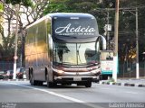 Acácio O Ferinha da Bahia FCB4001 na cidade de Osasco, São Paulo, Brasil, por Gabriel Almeida. Número da foto: #3605436.