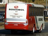 Rouxinol 510 na cidade de Belo Horizonte, Minas Gerais, Brasil, por Adão Raimundo Marcelino. Número da foto: #3605579.