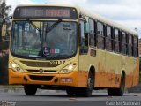 Viação Paraense 30117 na cidade de Belo Horizonte, Minas Gerais, Brasil, por Gabriel Sullivan. Número da foto: #:id.