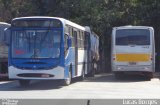 Rosa Turismo 2 2047 na cidade de Patos de Minas, Minas Gerais, Brasil, por Lucas Borges . Número da foto: #3604629.
