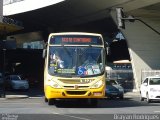 Viação Sandra 10331 na cidade de Belo Horizonte, Minas Gerais, Brasil, por Brayan Rodrigues. Número da foto: #3606628.