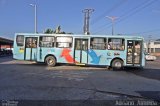 Terra Luz Transportes 41008 na cidade de Fortaleza, Ceará, Brasil, por Adriano  Almeida dos Santos. Número da foto: #3607875.