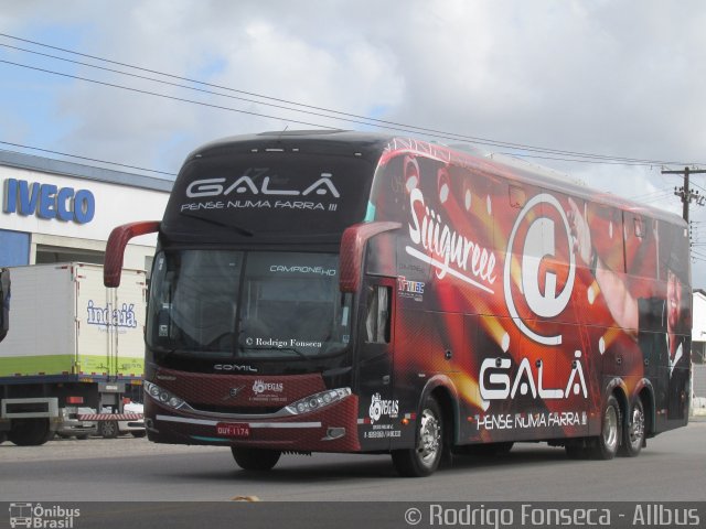 Galã 1174 na cidade de Maceió, Alagoas, Brasil, por Rodrigo Fonseca. ID da foto: 3547706.