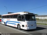 Tayla Tur 0098 na cidade de Osasco, São Paulo, Brasil, por Ronnie Damião. Número da foto: #3546510.