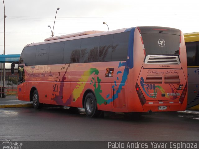 Pullman del Sur 206 na cidade de Santa Cruz, Colchagua, Libertador General Bernardo O'Higgins, Chile, por Pablo Andres Yavar Espinoza. Número da foto: #3552041.