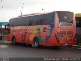 Pullman del Sur 206 na cidade de Santa Cruz, Colchagua, Libertador General Bernardo O'Higgins, Chile, por Pablo Andres Yavar Espinoza. Número da foto: #3552041.