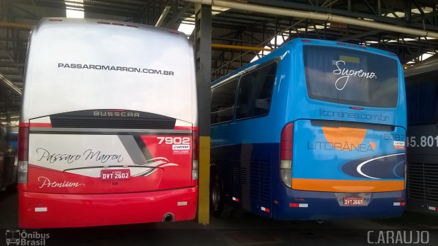 Empresa de Ônibus Pássaro Marron 7902 na cidade de Guarulhos, São Paulo, Brasil, por Cainã Marcos de Araujo. Número da foto: #3553883.