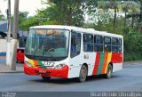 Viação Bom Jesus > VTL - Viação Trans Líder 1372 na cidade de Cubatão, São Paulo, Brasil, por Ricardo Luiz. Número da foto: #3552552.