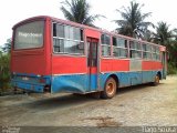 Ônibus Particulares  na cidade de Aporá, Bahia, Brasil, por Tiago Tiaguinho. Número da foto: #:id.