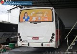 Vitral - Violeta Transportes 8774 na cidade de Salvador, Bahia, Brasil, por Mairan Santos. Número da foto: #:id.