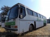 Silva Tur Marília 40315 na cidade de Marília, São Paulo, Brasil, por Roberto Mendes. Número da foto: #3558529.