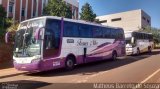 Trans Nike 102 na cidade de Campinas, São Paulo, Brasil, por Matheus Barreto de Souza. Número da foto: #3610184.
