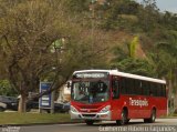 Viação Dedo de Deus 313 na cidade de Teresópolis, Rio de Janeiro, Brasil, por Guilherme Ribeiro Fagundes. Número da foto: #3632126.