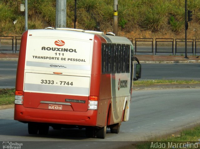 Rouxinol 111 na cidade de Belo Horizonte, Minas Gerais, Brasil, por Adão Raimundo Marcelino. ID da foto: 3637429.