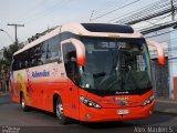 Pullman Bus  na cidade de , por Alex Maulén S. . Número da foto: #3637752.