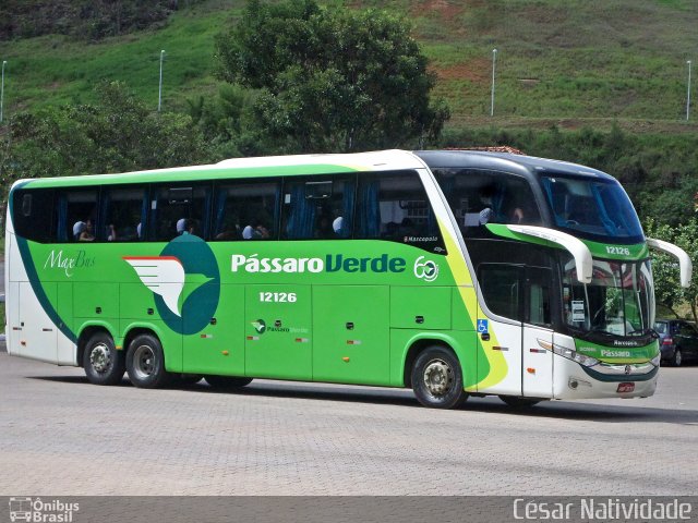 Pássaro Verde 12126 na cidade de Mariana, Minas Gerais, Brasil, por César Natividade. Número da foto: #3640156.