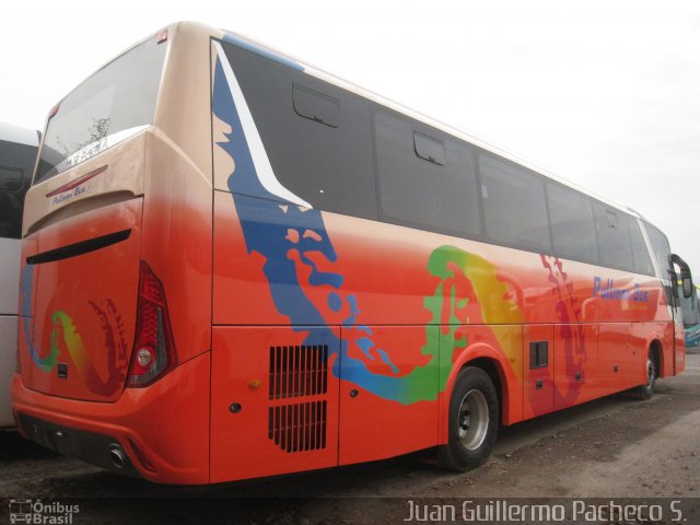 Pullman Bus  na cidade de , por Juan Guillermo Pacheco S.. Número da foto: #3640234.