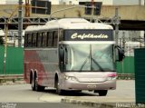 Prefeitura Municipal de Cafelândia 0736 na cidade de São Paulo, São Paulo, Brasil, por Renan Vieira. Número da foto: #3648269.