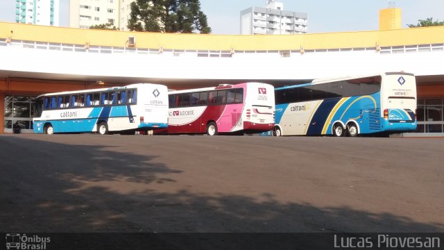 Cattani Sul Transportes e Turismo 41601 na cidade de Francisco Beltrão, Paraná, Brasil, por Lucas Piovesan. Número da foto: #3648945.