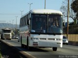 Ônibus Particulares 6558 na cidade de Belo Horizonte, Minas Gerais, Brasil, por Adão Raimundo Marcelino. Número da foto: #3650249.