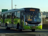 Bettania Ônibus 30589 na cidade de Belo Horizonte, Minas Gerais, Brasil, por Adão Raimundo Marcelino. Número da foto: #3650340.