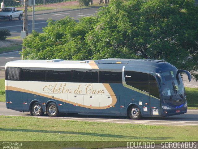 Bia Turismo > Aellos de Ouro 8220 na cidade de Sorocaba, São Paulo, Brasil, por EDUARDO - SOROCABUS. Número da foto: #3651504.