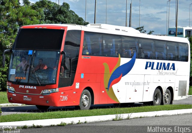 Pluma Conforto e Turismo 7206 na cidade de Florianópolis, Santa Catarina, Brasil, por Matheus Etges. Número da foto: #3651788.