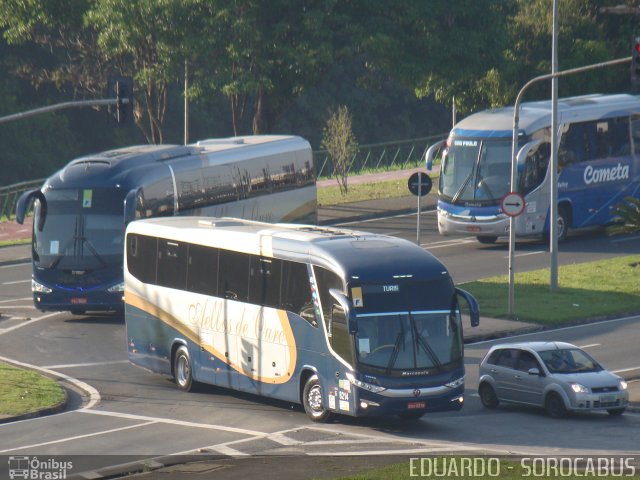Bia Turismo > Aellos de Ouro 8214 na cidade de Sorocaba, São Paulo, Brasil, por EDUARDO - SOROCABUS. Número da foto: #3651501.