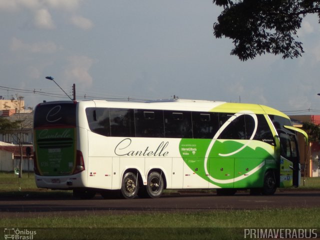 Cantelle Viagens e Turismo 6136 na cidade de Cascavel, Paraná, Brasil, por Alexandre Rodrigo. Número da foto: #3657523.