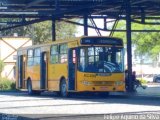Viação Tamandaré KC499 na cidade de Curitiba, Paraná, Brasil, por Felipe Aquino da Silva. Número da foto: #3656994.