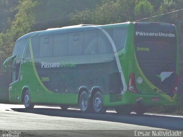 Pássaro Verde 2015 na cidade de Mariana, Minas Gerais, Brasil, por César Natividade. Número da foto: #3659950.