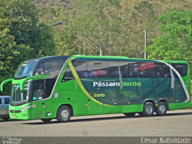 Pássaro Verde 2015 na cidade de Mariana, Minas Gerais, Brasil, por César Natividade. Número da foto: #3661198.