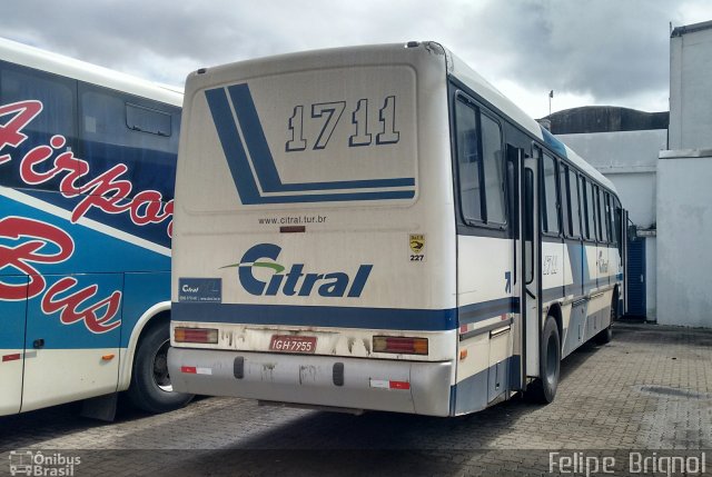 Citral Transporte e Turismo 1711 na cidade de Porto Alegre, Rio Grande do Sul, Brasil, por Felipe  Brignol. ID da foto: 3663296.