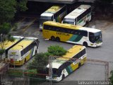 Empresa Gontijo de Transportes 15340 na cidade de Belo Horizonte, Minas Gerais, Brasil, por Tailisson Fernandes. Número da foto: #3663368.