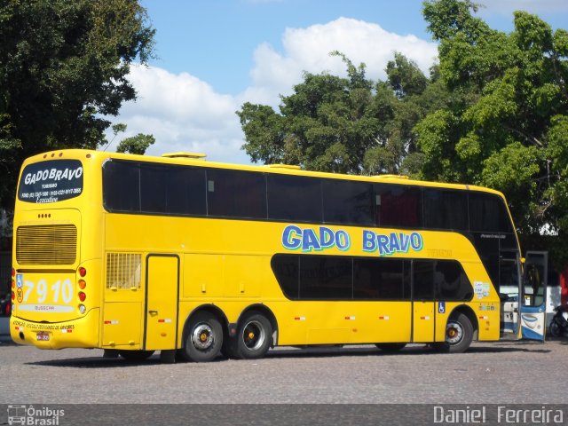 Gado Bravo Turismo 7910 na cidade de Feira de Santana, Bahia, Brasil, por Daniel  Ferreira. ID da foto: 3664192.