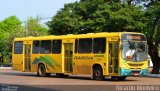 Viação Garcia 7439 na cidade de Maringá, Paraná, Brasil, por Ricardo Silva Monteiro. Número da foto: #3664184.