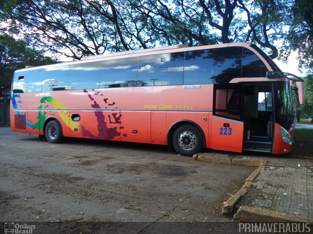 Chilebus Internacional 223 na cidade de São Paulo, São Paulo, Brasil, por Alexandre Rodrigo. ID da foto: 3667354.