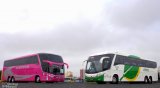 Verde Transportes 2534 na cidade de Londrina, Paraná, Brasil, por Eduardo Benetti . Número da foto: #3667573.