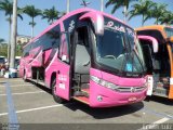 Lual Rio Turismo e Fretamento 3200 na cidade de Aparecida, São Paulo, Brasil, por Erwin  Luiz. Número da foto: #3666174.