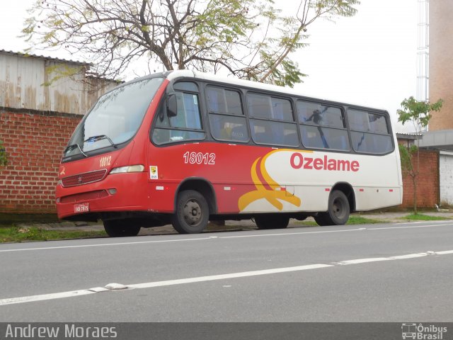 Ozelame Transportes 18012 na cidade de Caxias do Sul, Rio Grande do Sul, Brasil, por Andrew Moraes. Número da foto: #3670332.
