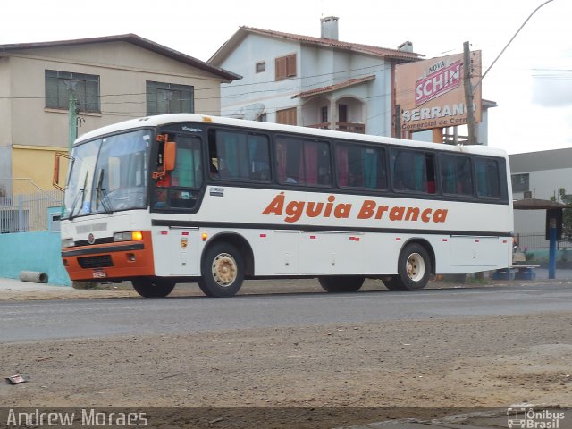 Águia Branca 94488 na cidade de Vacaria, Rio Grande do Sul, Brasil, por Andrew Moraes. Número da foto: #3670255.