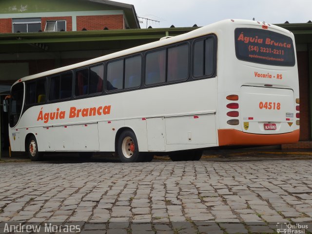 Águia Branca 04518 na cidade de Vacaria, Rio Grande do Sul, Brasil, por Andrew Moraes. Número da foto: #3670310.