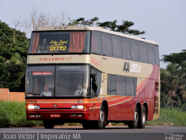 Viação Açailândia 2579 na cidade de Imperatriz, Maranhão, Brasil, por João Victor. Número da foto: #3670090.