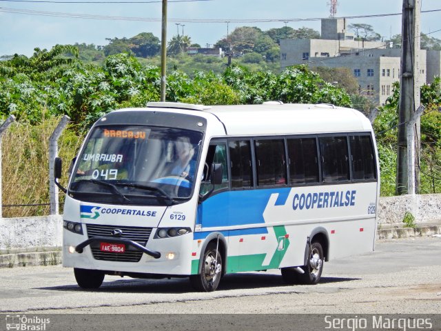 Coopertalse 6129 na cidade de Aracaju, Sergipe, Brasil, por Sergio Marques . Número da foto: #3613507.