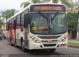 Viação Cidade do Aço RJ 174.142 na cidade de Nova Iguaçu, Rio de Janeiro, Brasil, por Carlos Eduardo Araújo dos Santos. Número da foto: #3673838.
