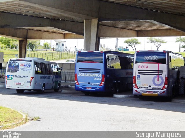 Coopertalse 208 na cidade de Aracaju, Sergipe, Brasil, por Sergio Marques . Número da foto: #3615600.