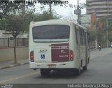 Transwolff Transportes e Turismo 7 8660 na cidade de São Paulo, São Paulo, Brasil, por Roberto Teixeira. Número da foto: #3616289.