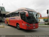 Pullman Bus 419A na cidade de , por Crhistian Pinilla Riquelme. ID da foto: :id.