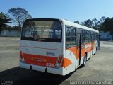Triecon 204 na cidade de Barra Mansa, Rio de Janeiro, Brasil, por Guilherme Afonso Sfbus. Número da foto: #3623664.